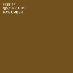 #72511F - Raw Umber Color Image